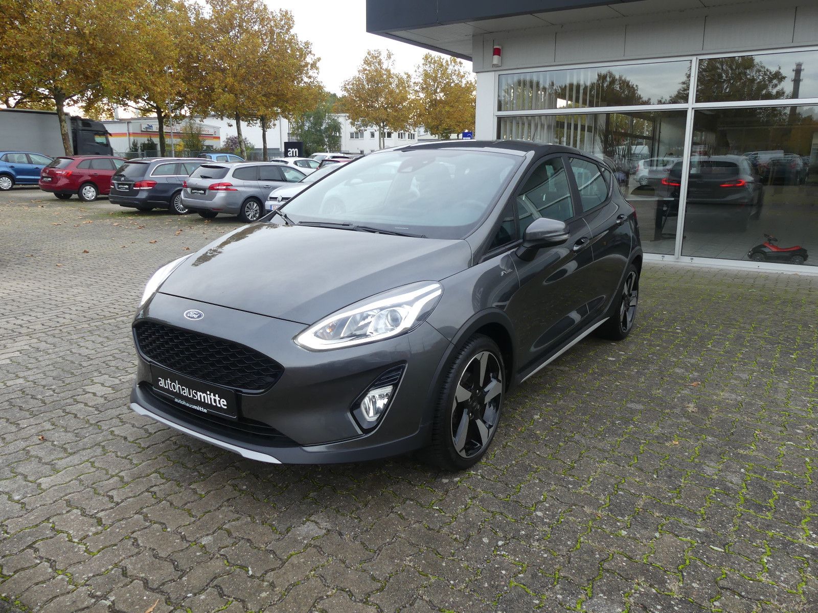 Ford Fiesta Active Colourline